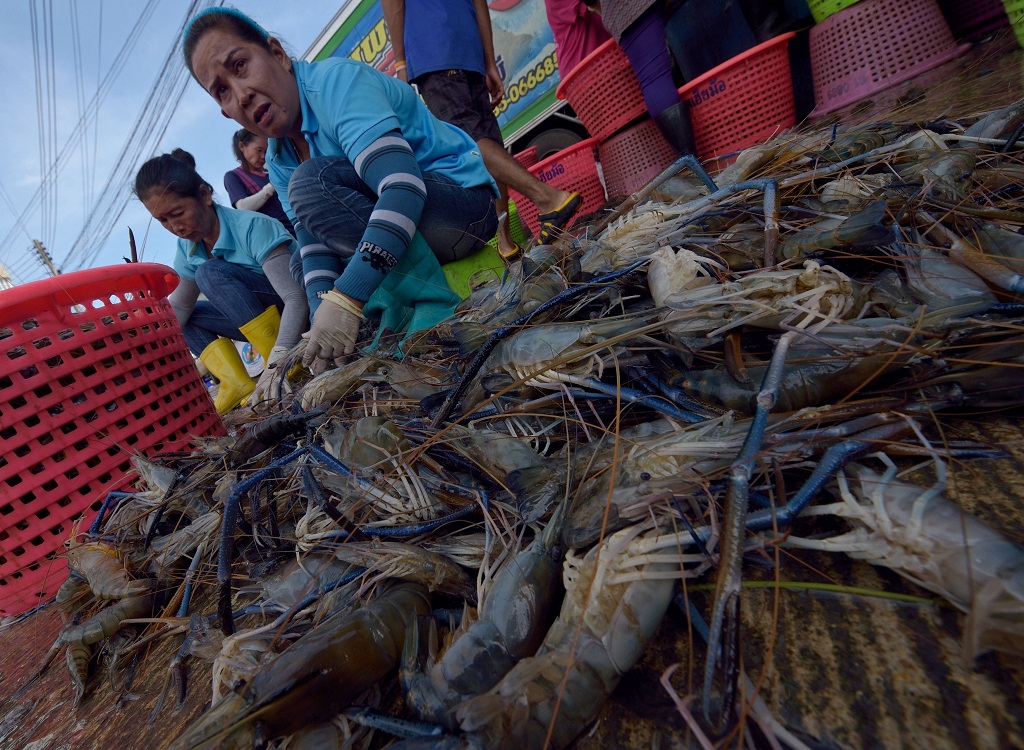 Промышленность тайланда. Таиланд Рыбная промышленность. Пищевая промышленность Таиланда.